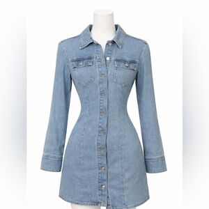 Zara Light Blue Denim Button-Front Long Sleeve Dress